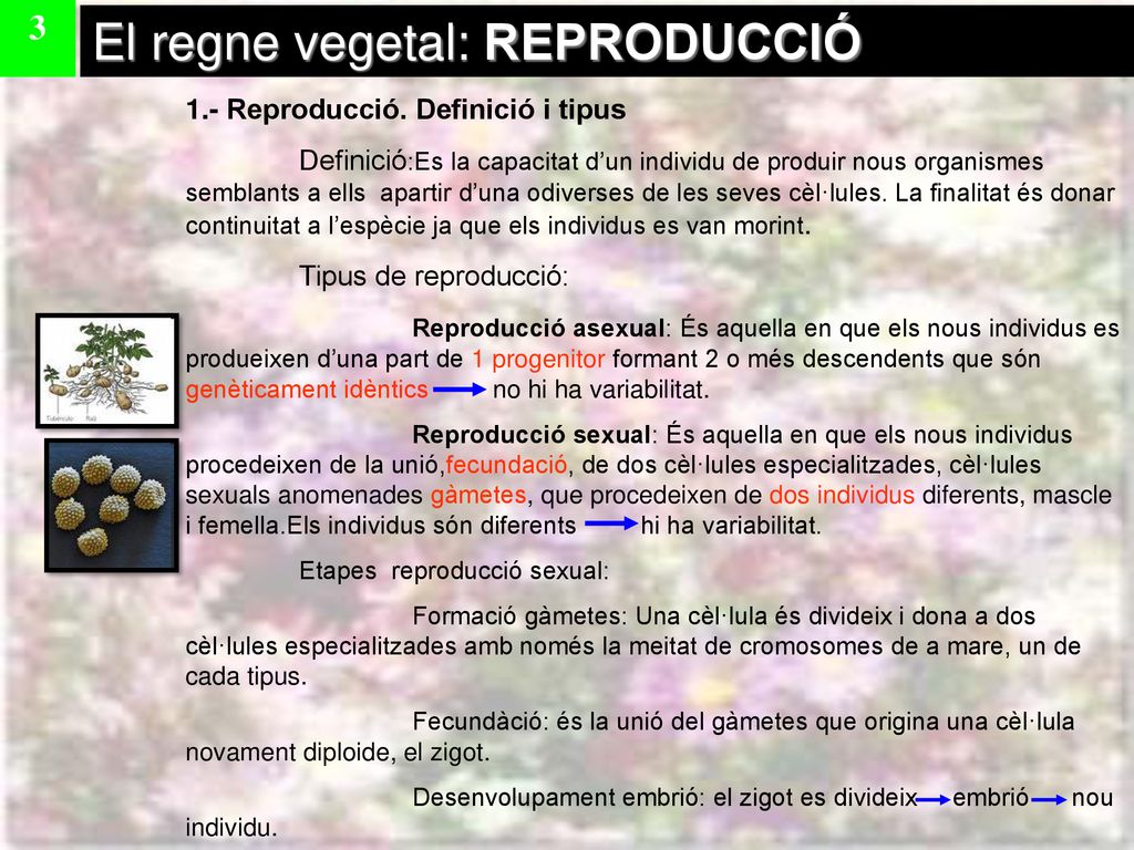 LA REPRODUCCIÓ DELS VEGETALS ppt descargar